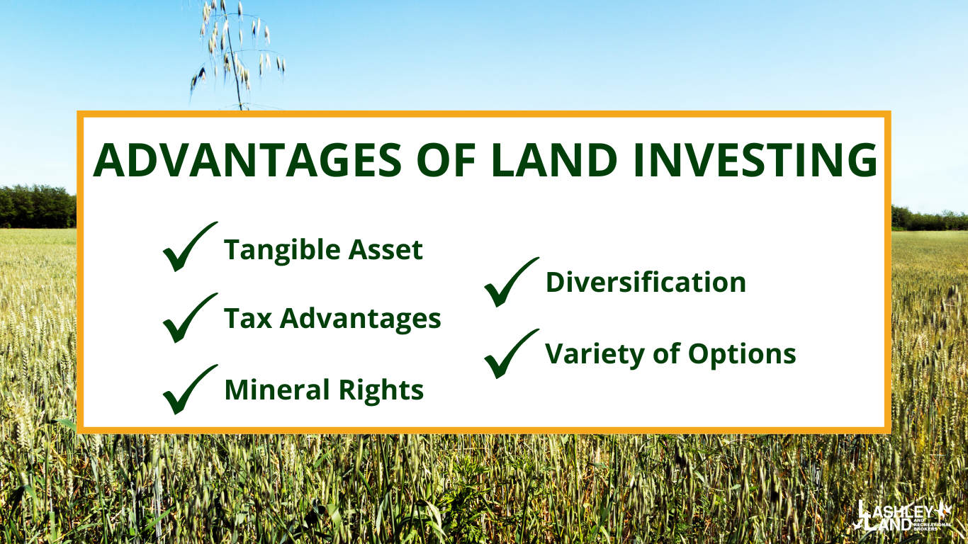 Investing in Land: Unlocking Opportunities for Financial Growth  
