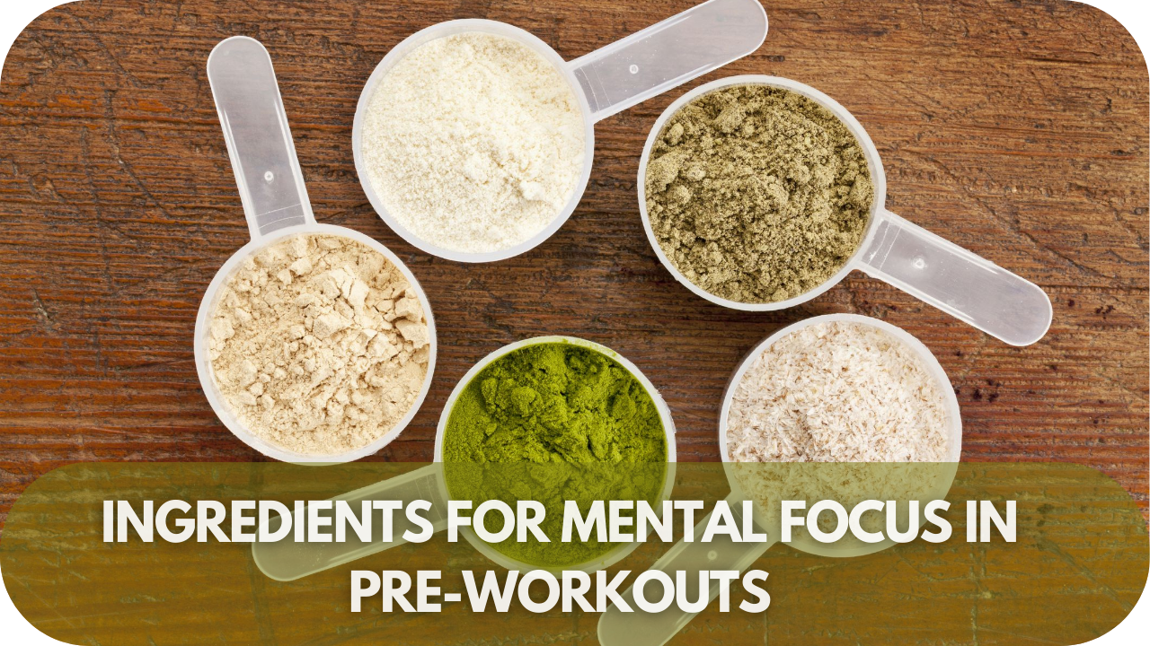 Ingredients for Mental Focus in Pre-workouts