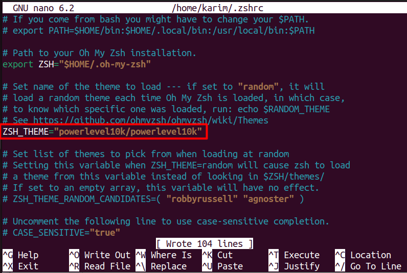 Terminal output showing Zsh theme set to Powerlevel10k in .zshrc using ZSH_THEME="powerlevel10k/powerlevel10k" command