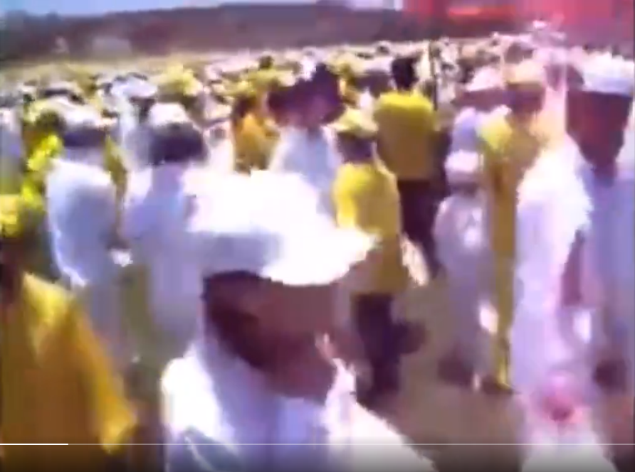 A group of people in yellow shirts

Description automatically generated