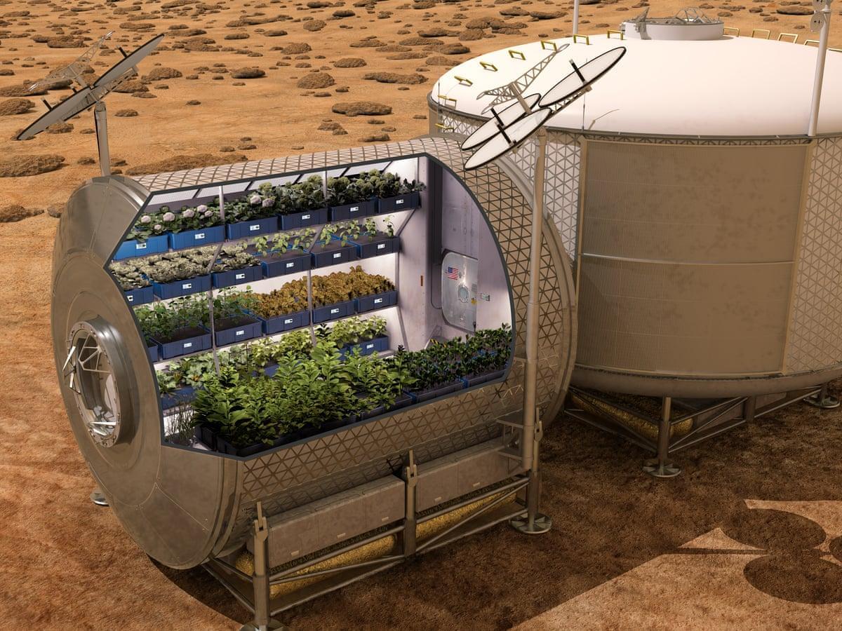 NASA’s prediction of a vegetable system for growing fresh food on future spacecraft and on other planets.