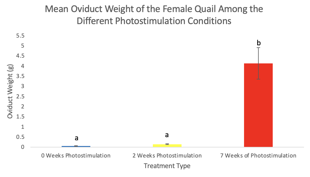 A diagram of a person's body

Description automatically generated