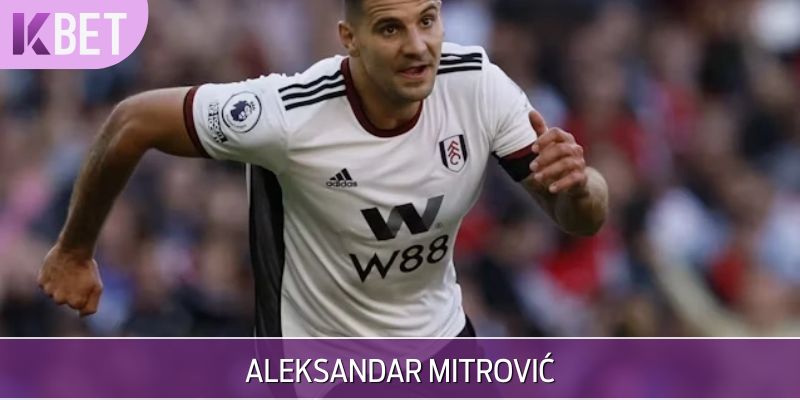 Aleksandar Mitrović