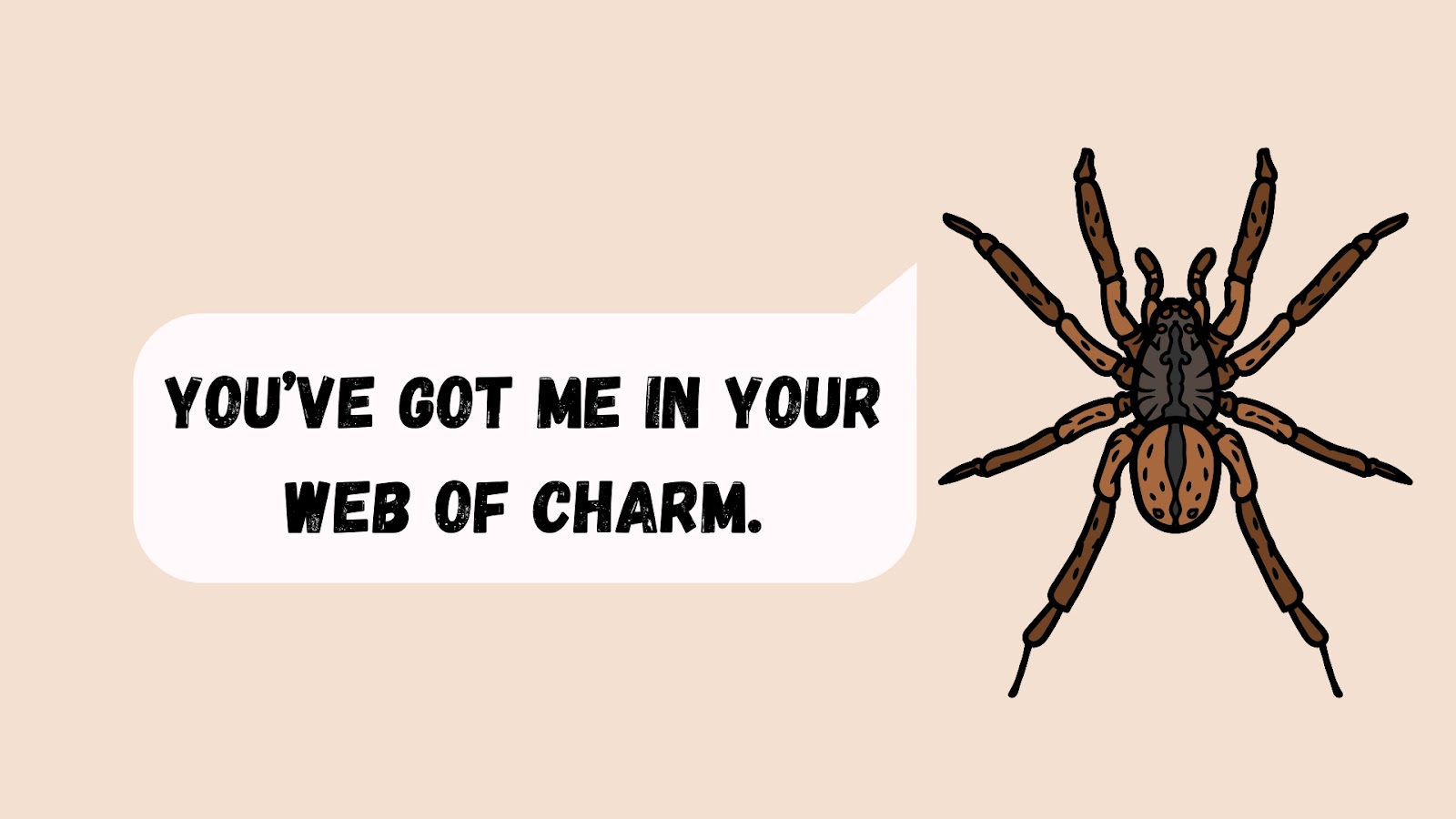 You’ve got me in your web of charm.