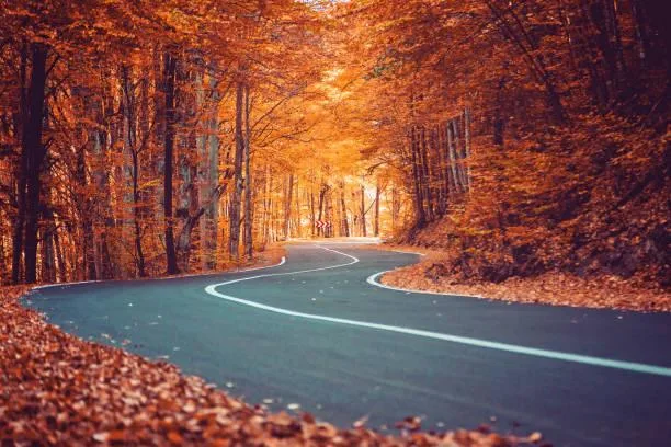 From Mountains to Forests: 20 Stunning Vistas, mountain photos, forest landscapes, nature, forest, landscape, nature variety, wide scenery