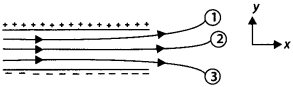 NCERT Solutions for Class 12 Physics Chapter 1 Electric Charges and Fields 12