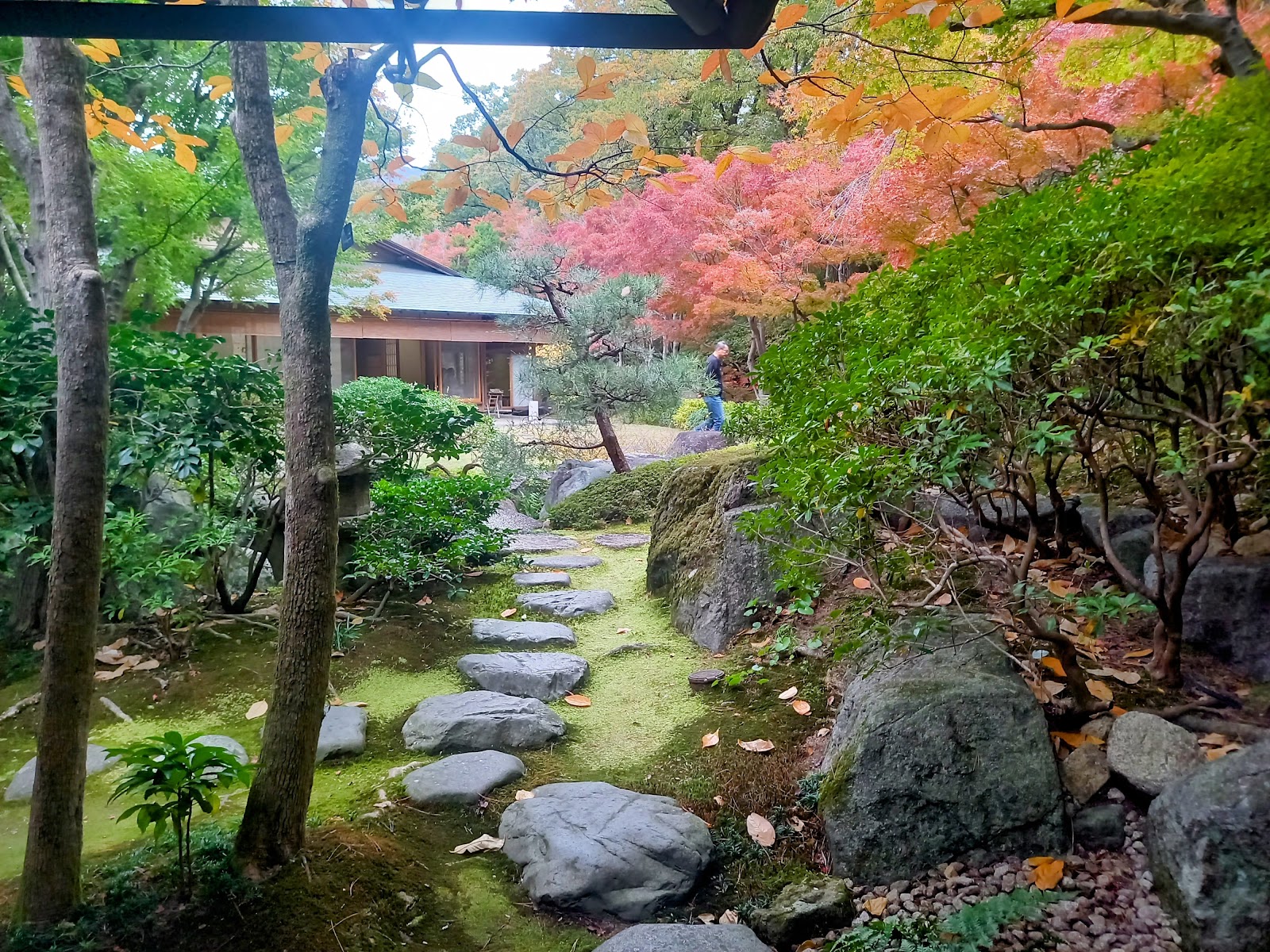 飛び石が配置され、苔や木々が見える庭園の様子。こころ癒される。