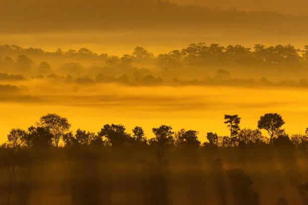 15 Earth’s Curves Captured from Afar, distant curves, terrain shape, nature, forest, landscape, land flow, natural roundness