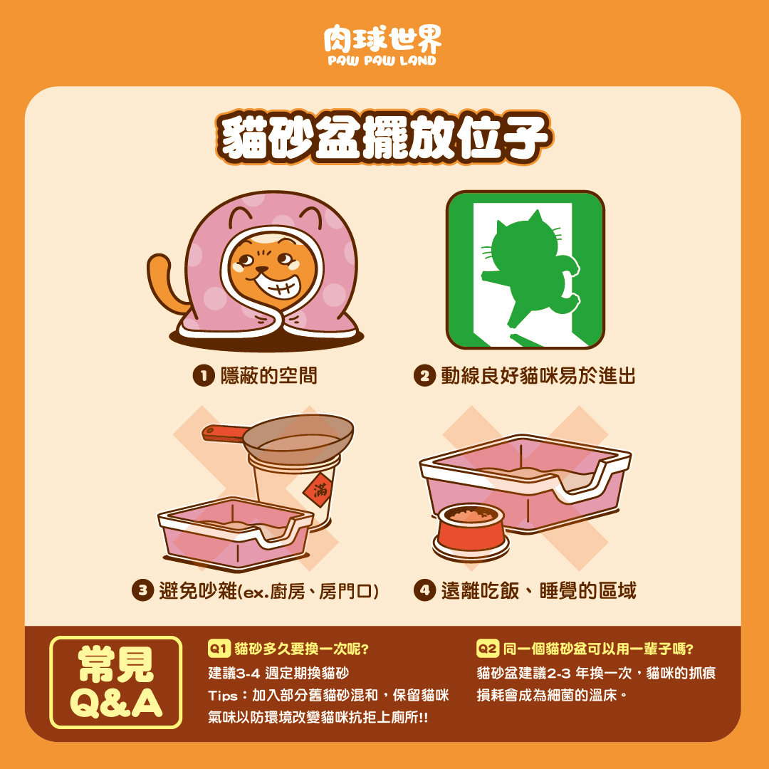 3. 貓砂盆│擺放位置