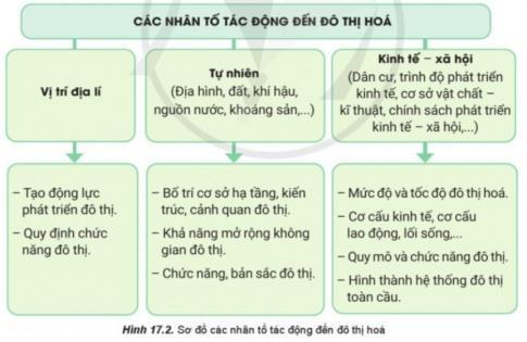 BÀI 17. PHÂN BỐ DÂN CƯ VÀ ĐÔ THỊ HÓA