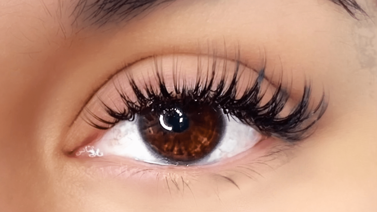 San Diego Lashes: An Insider's Guide to the Best Salons