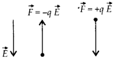 NCERT Solutions for Class 12 Physics Chapter 1 Electric Charges and Fields 13