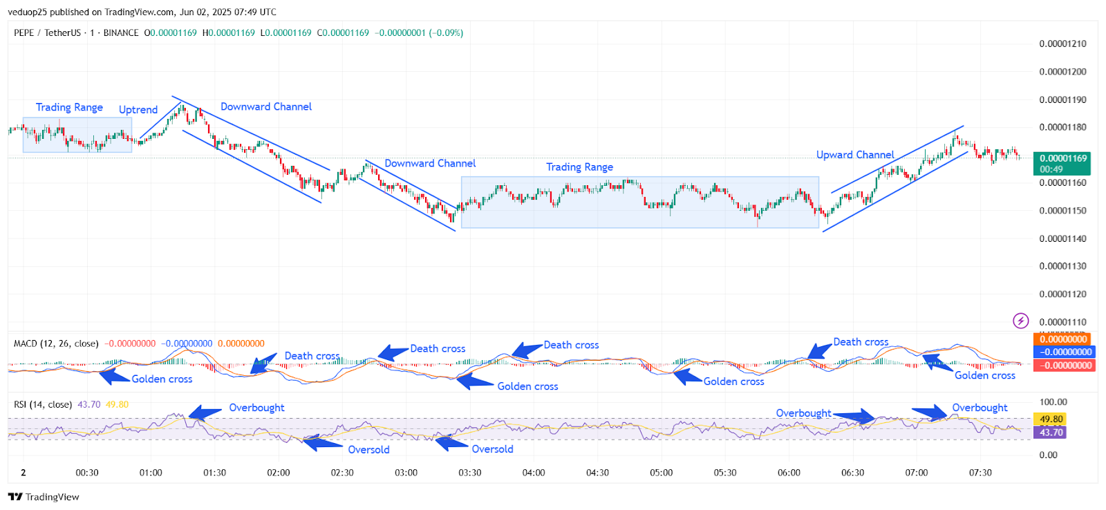Chart 10- PEPE/USDT M1 Chart, Analysed By Anushri Varshney, Published on TradingView, June 2, 2025