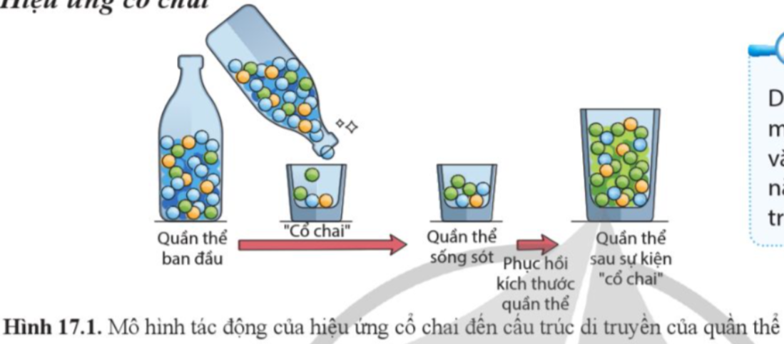 BÀI 17. THUYẾT TIẾN HÓA TỔNG HỢP HIỆN ĐẠI (PHẦN 1)