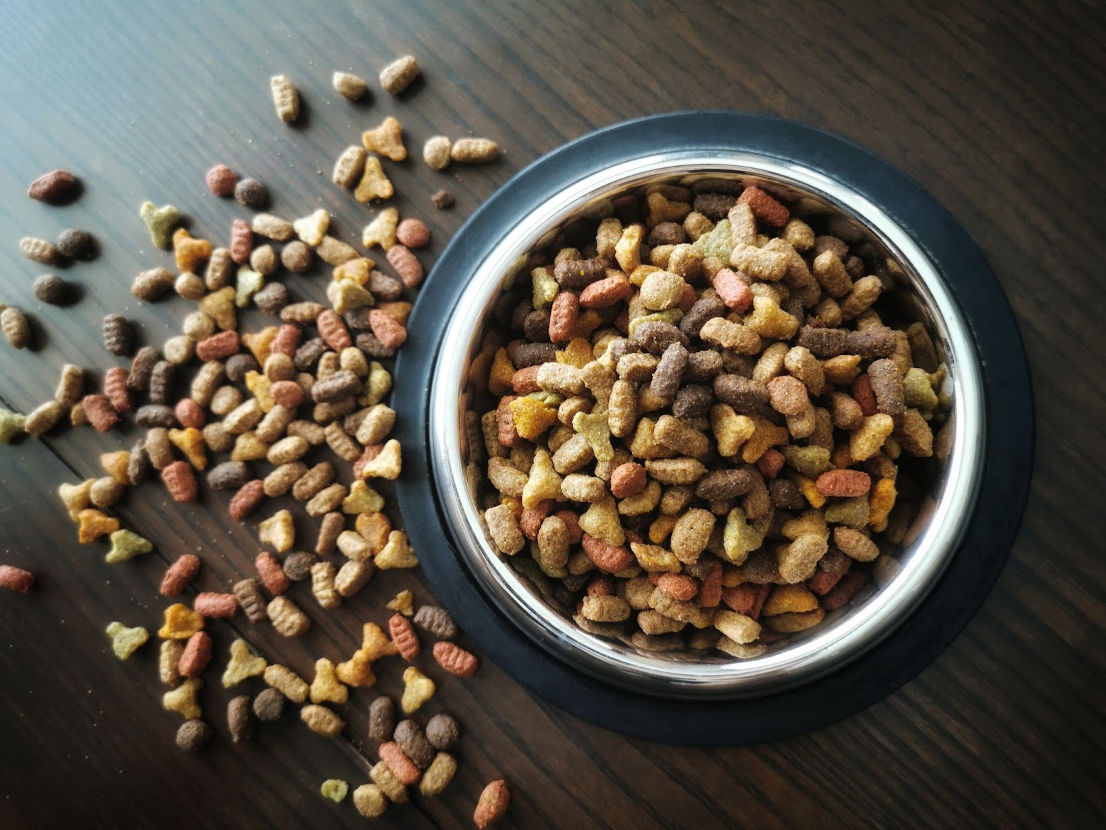 A stainless steel bowl filled with colourful dry cat food, with some pieces scattered on a wooden surface, a common type of food in cat supplies for a new cat.