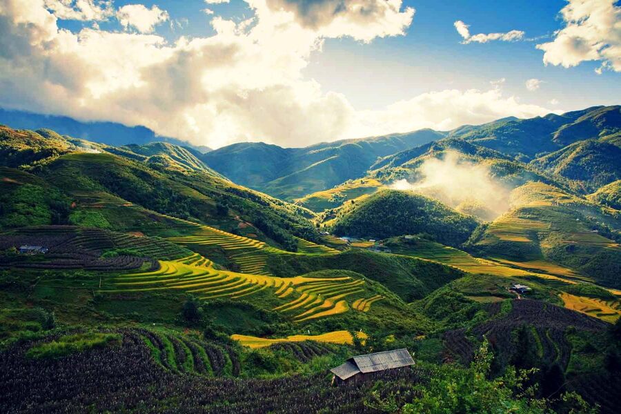 The pristine beauty of Sapa mountains and forests in summer days. Source: divui 