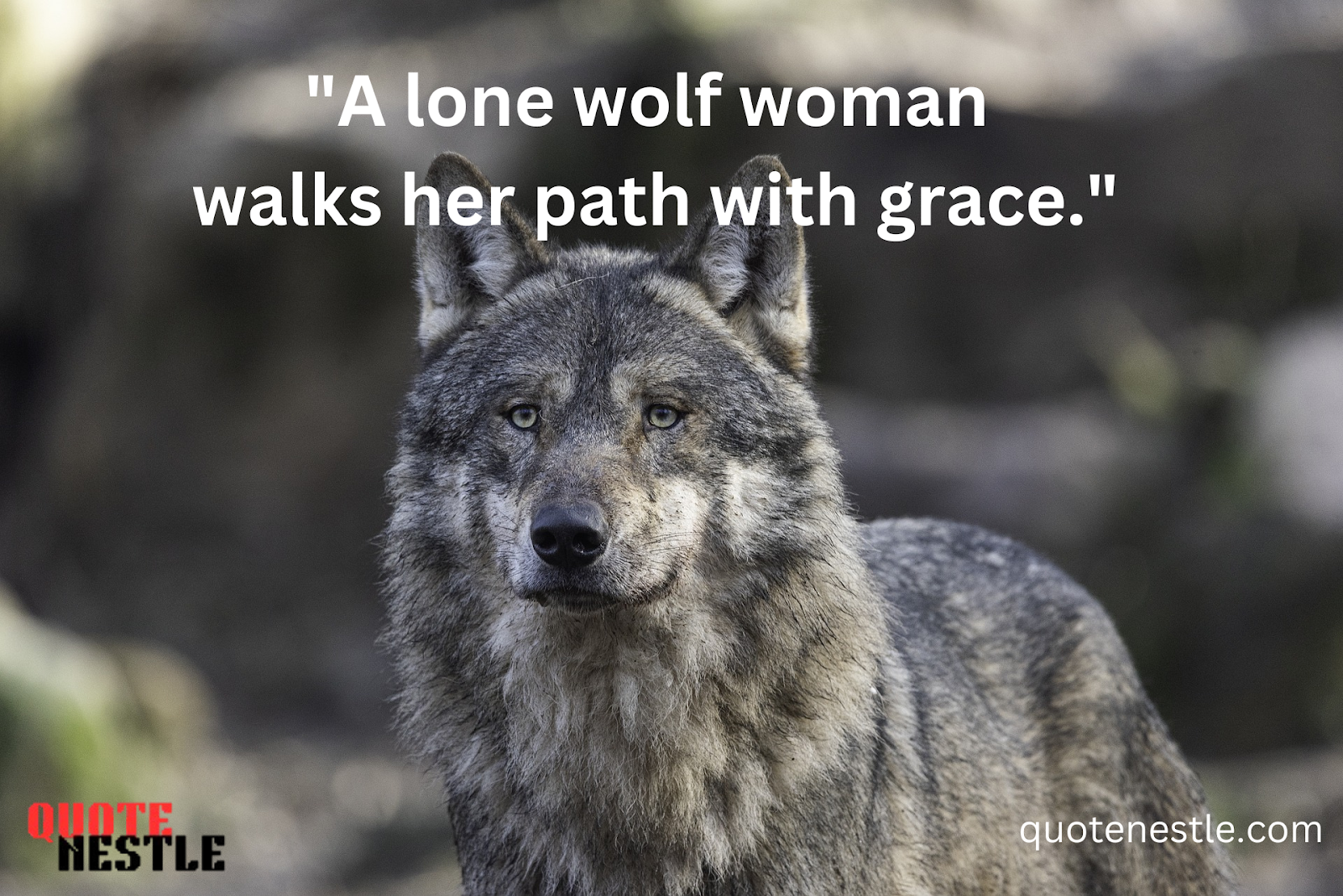 Epic Lone Wolf Quotes