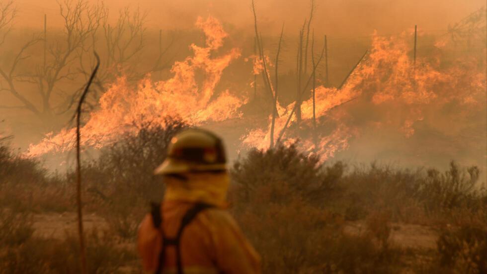 Un pompier observe l'incendi «Bluecut», en Californie, aux Etats-Unis, le 16août 2016.