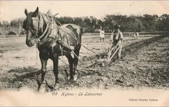 Hyeres -  Le Laboureur