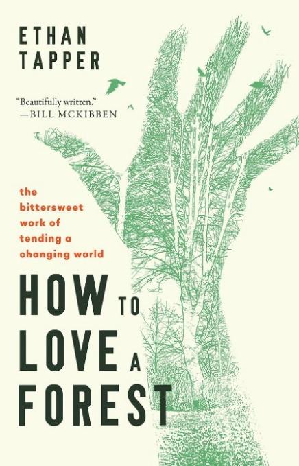 How to love a forest book cover