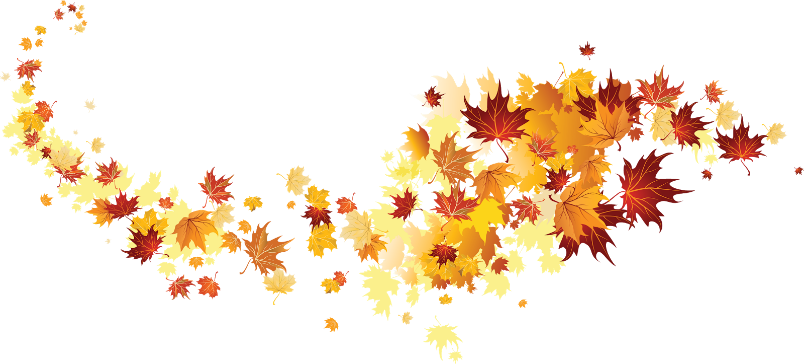 Picture background