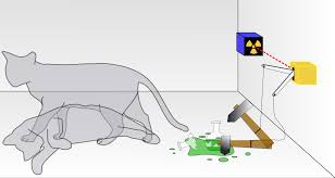  Schrödinger's cat is both alive and dead until observed, illustrating quantum superposition