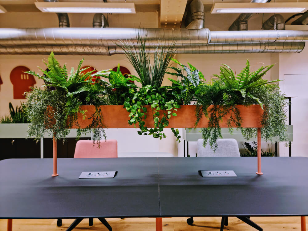 Desk with integrated table planter, surrounded by minimalist furniture and lush greenery, creating a sustainable and refreshing office environment