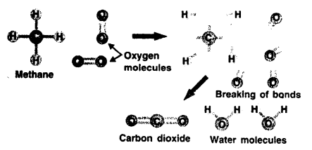 Selina Concise Chemistry Class 8 ICSE Solutions - Chemical Reactions 1