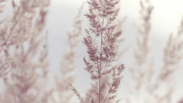 25 Nature-Inspired Photos That Spark Awe, awe-inspiring nature, nature inspired, nature, landscape, earth beauty, natural wonders