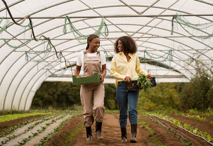 Drip Irrigation and Precision Agriculture
