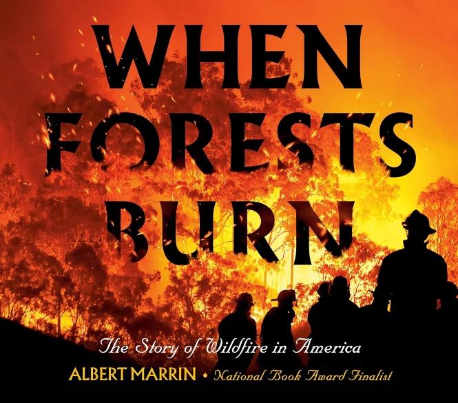 When forests burn cover