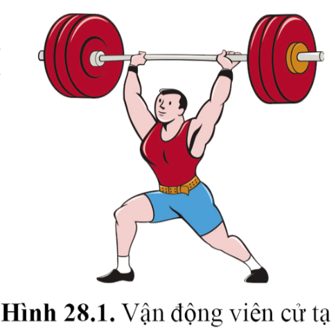 BÀI 28 - HỆ VẬN ĐỘNG Ở NGƯỜI