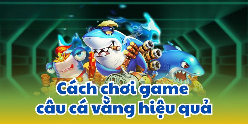 Cách chơi game câu cá vằng hiệu quả