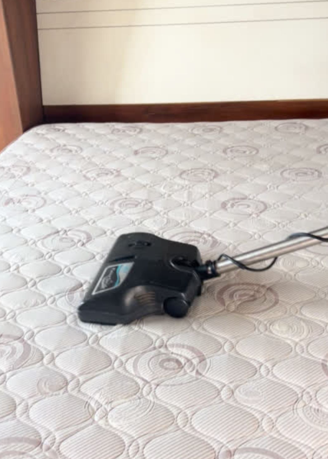 Why Professional Mattress Cleaning service is Worth the Investment