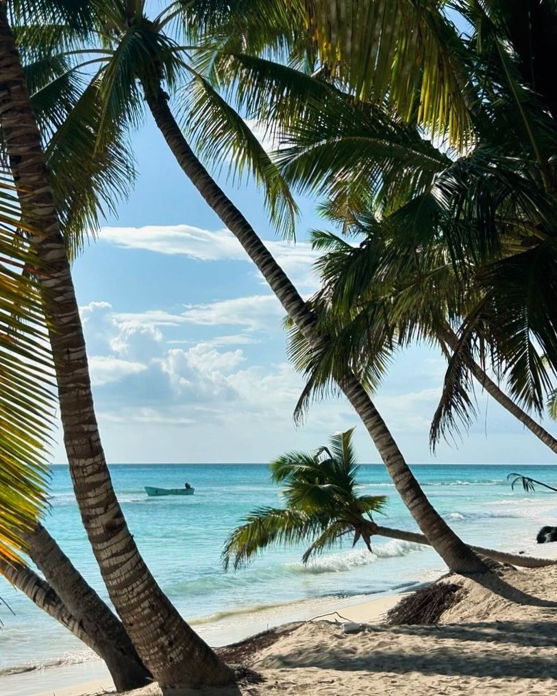  Isla Saona
