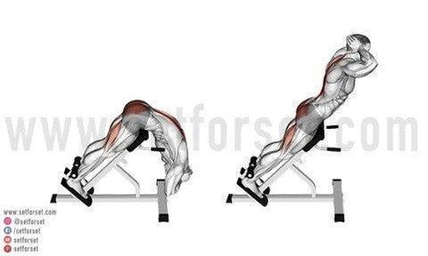 best lower back exercises