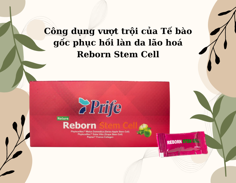 Tế bào gốc phục hồi làn da lão hoá - Reborn Stem Cell - Nhập khẩu từ Malaysia - Prife