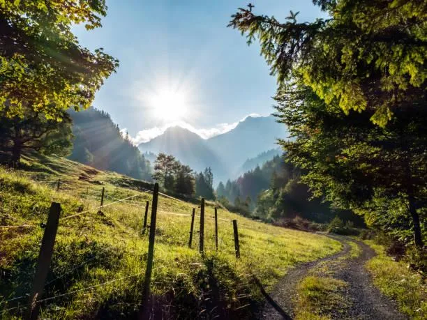 25 Photos That Celebrate the Wild, wild nature, untamed landscapes, nature, landscape, outdoor freedom, earth rawness