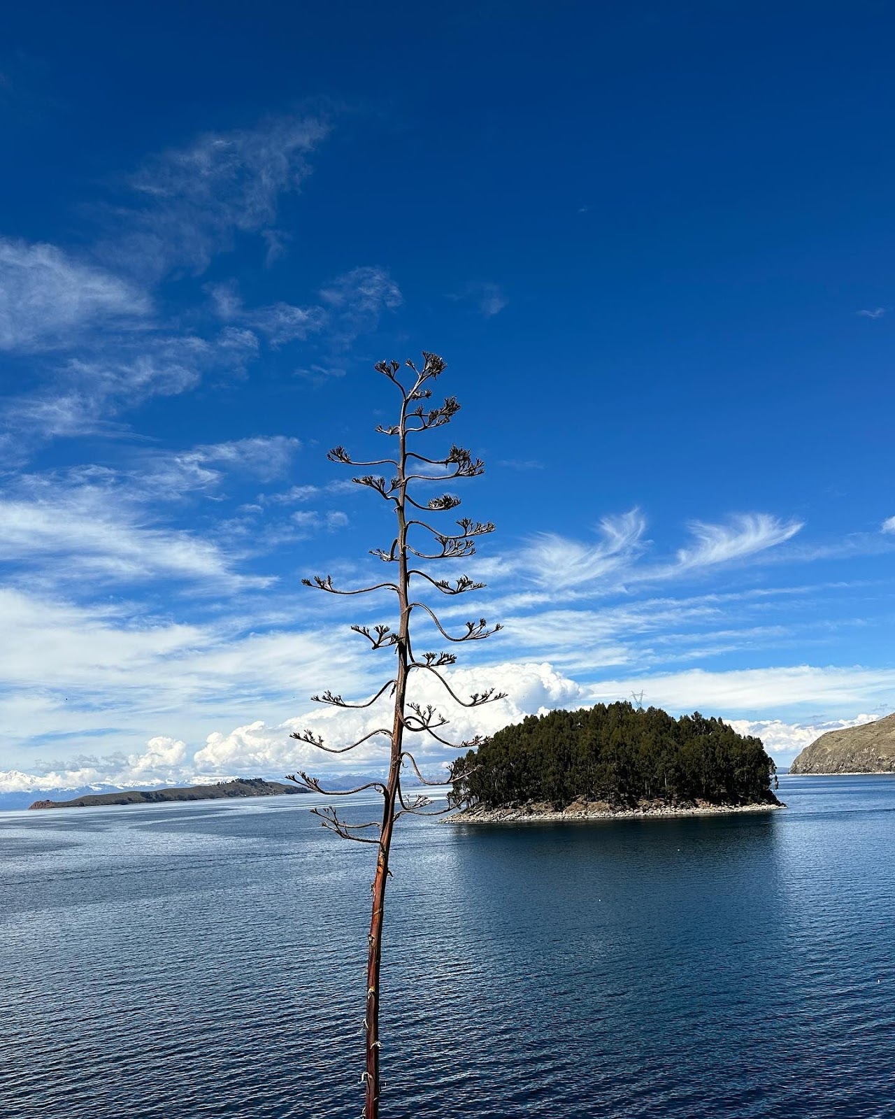 Lake Titicaca