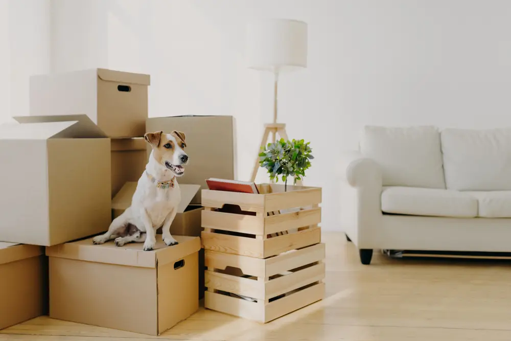 Moving with Pets