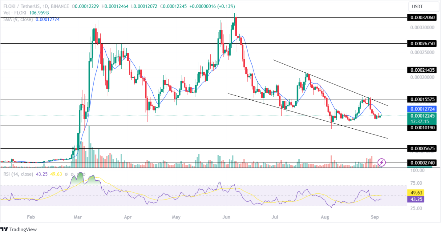 Floki Price Analysis September 2024