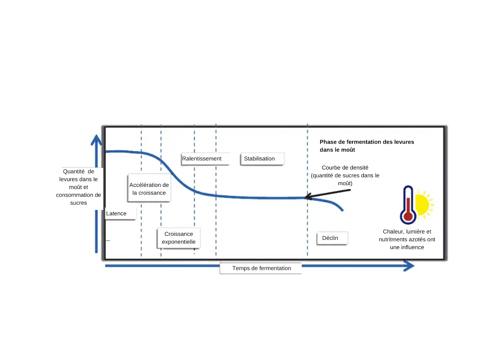 Hydromel : processus de fermentation et impact sur sa qualité - Non classifié(e)