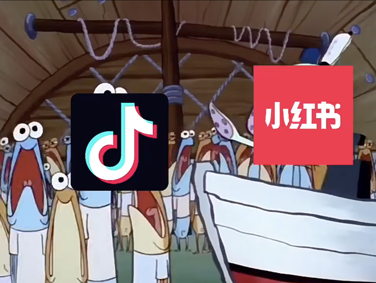 RedNote and TikTok meme