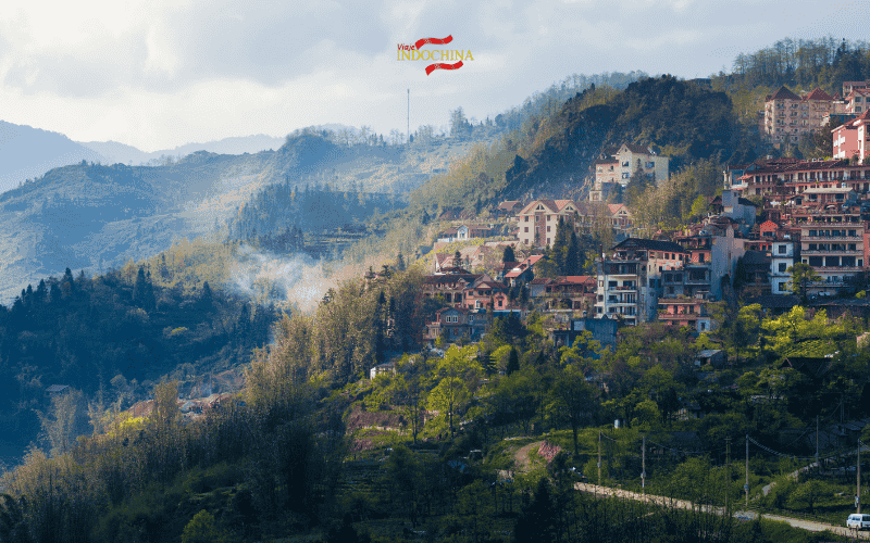 Sapa