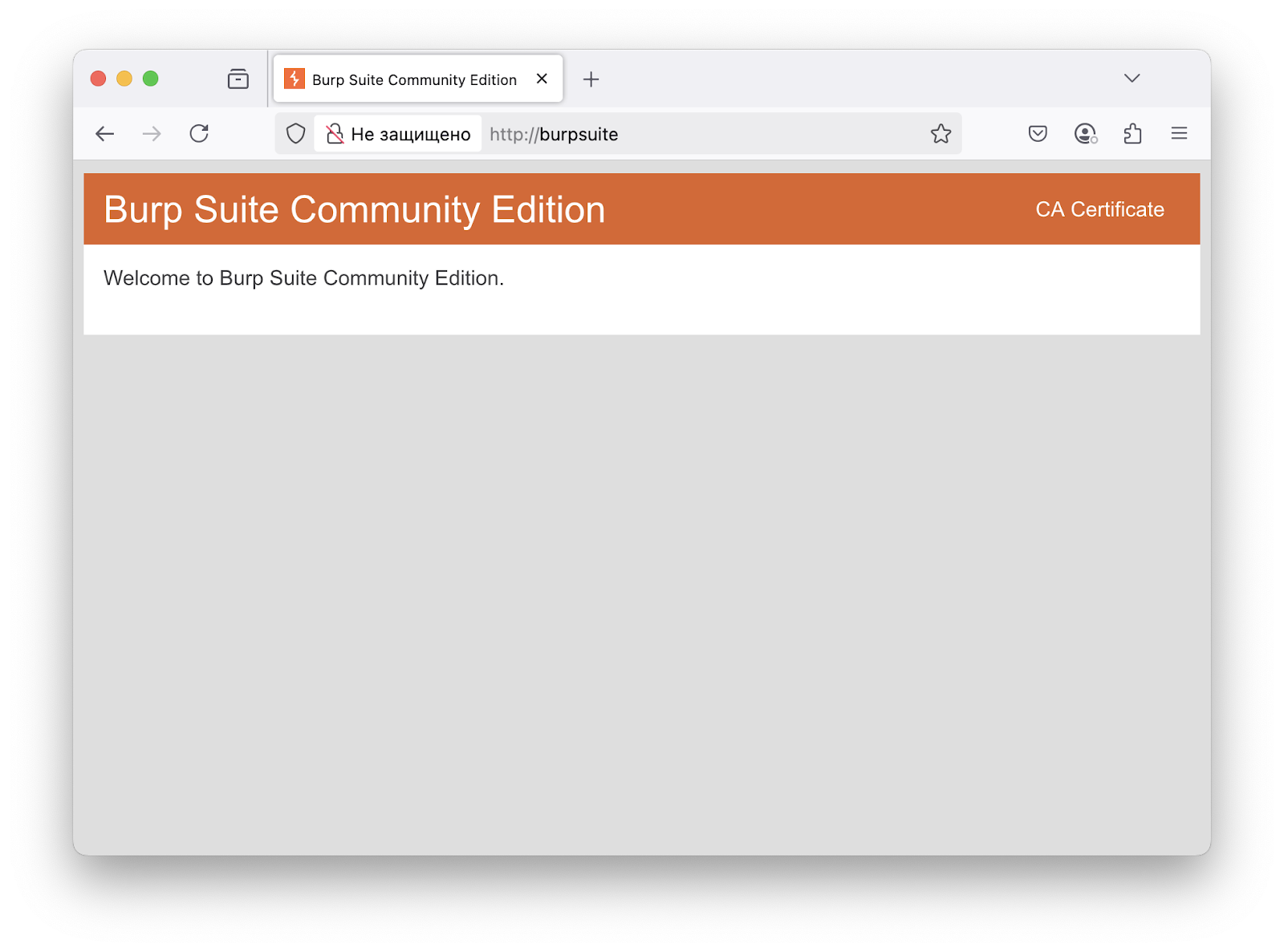 Burp Suite для тестирования безопасности веб-приложений