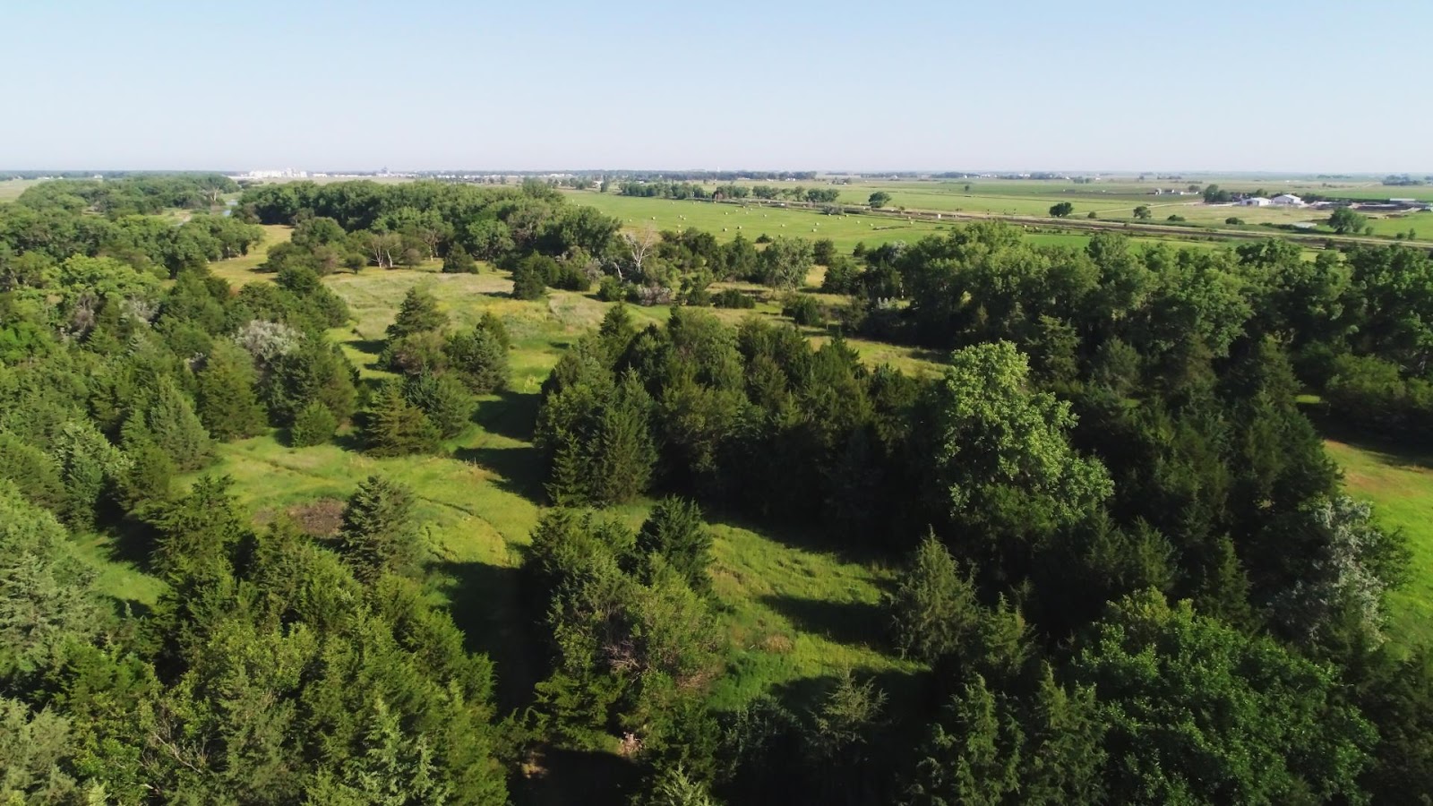 What to Look For When Buying Land: Your Guide to Finding the Perfect Plot | Lashley Land and Recreational Brokers