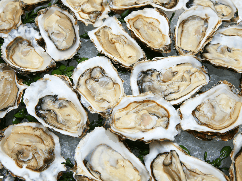 oysters foods that help you sleep