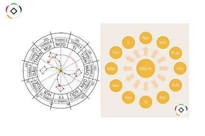 6. Các câu hỏi thường gặp về lá số tử vi