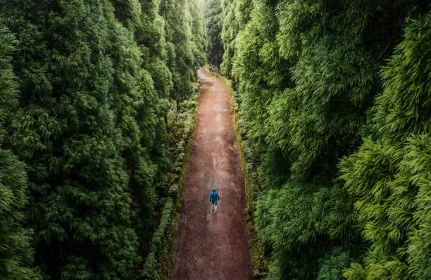 Deep Into Nature: 15 Captivating Scenes, deep nature, immersive photos, nature, landscape, jungle, mountain, hidden spots