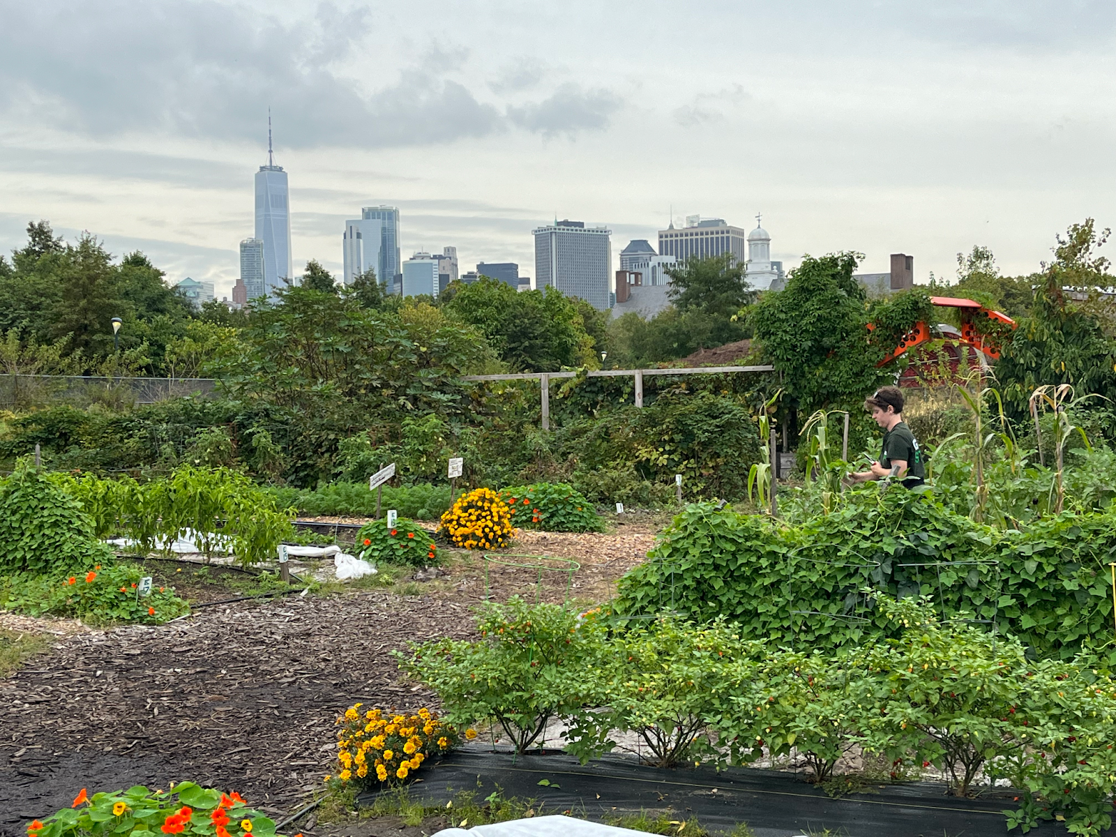 View of a city garden.